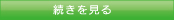 続きを見る
