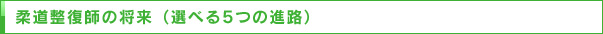 柔道整復師の将来（選べる5つの職種）