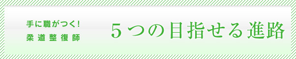 5つの選べる職種